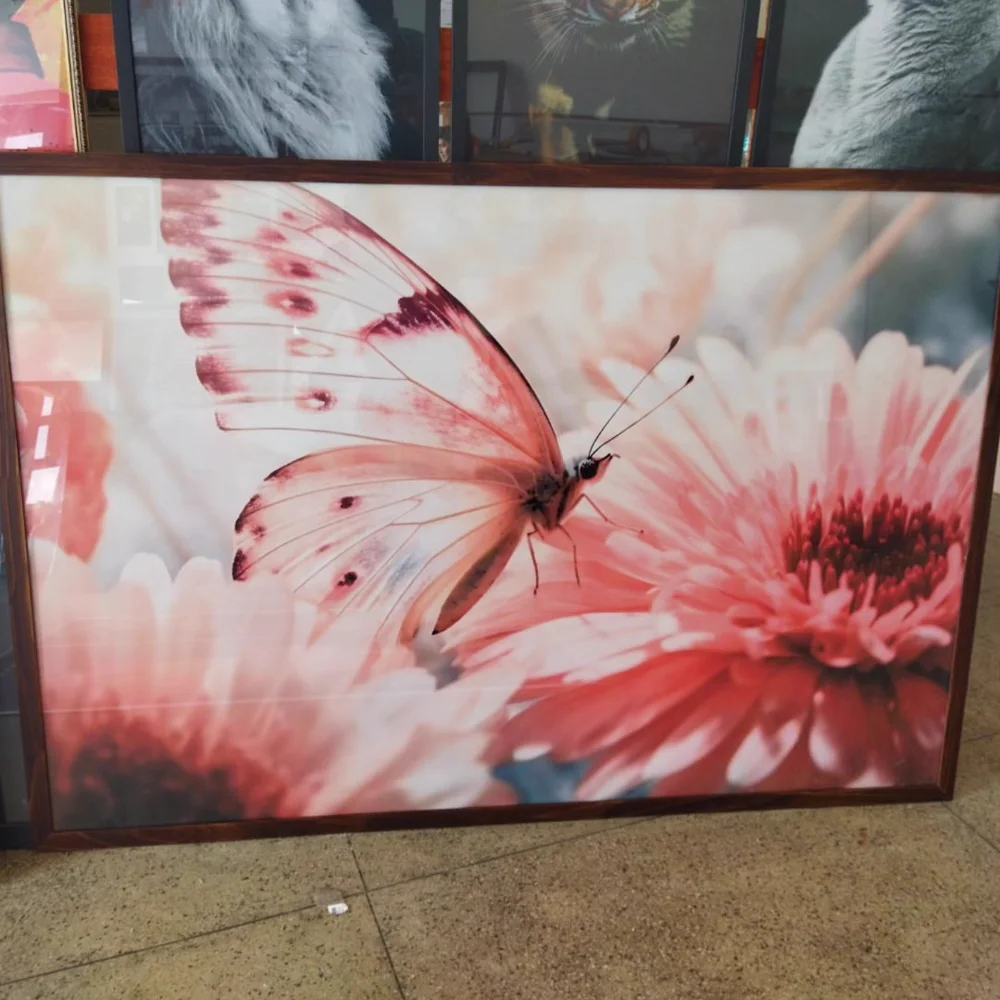 Borboleta e flores, quadro da Santa Cruz Quadros e Molduras