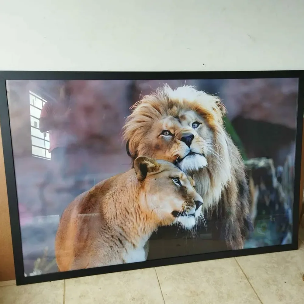 Leão e leoa, quadro da Santa Cruz Quadros e Molduras