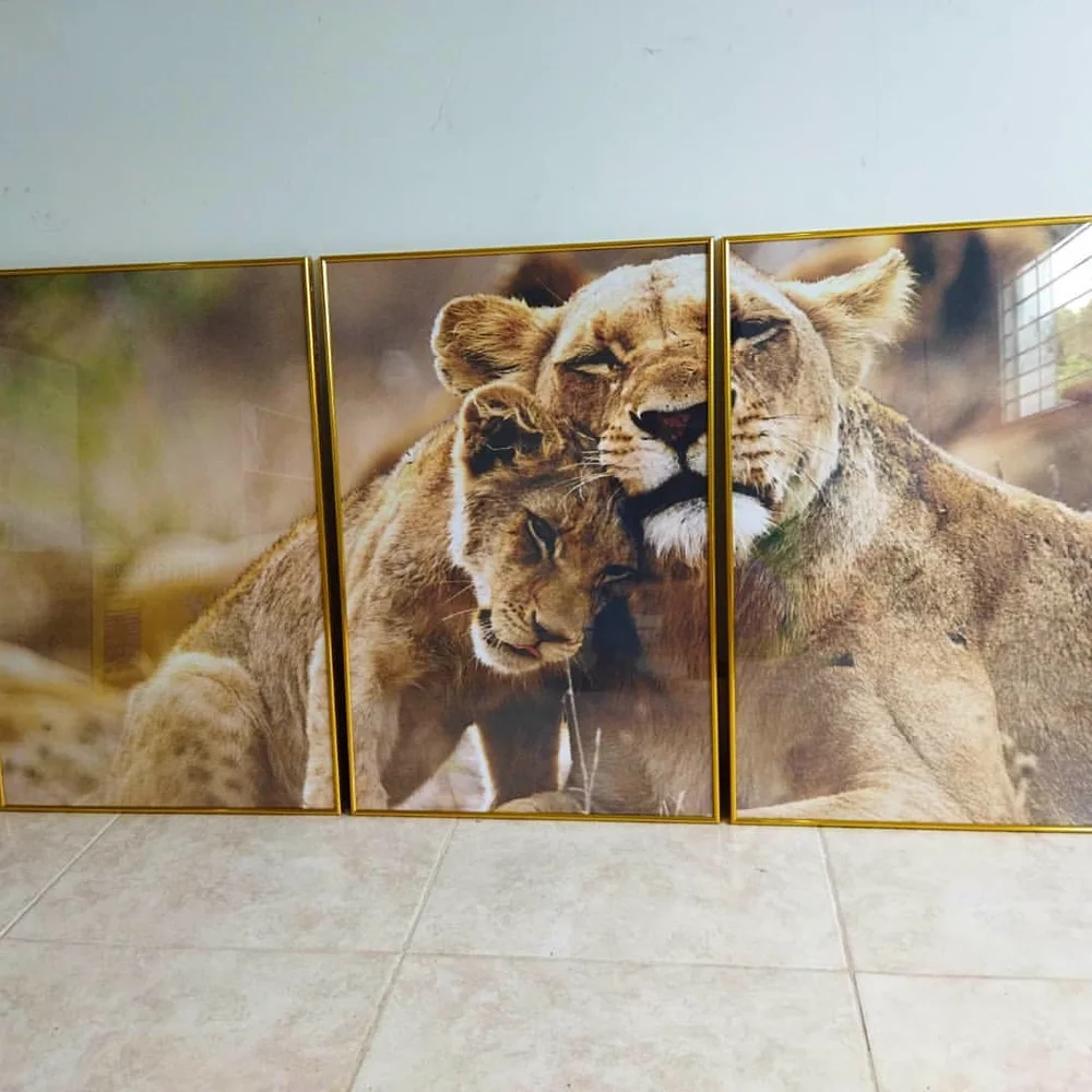 Leoa com filhote, quadro da Santa Cruz Quadros e Molduras